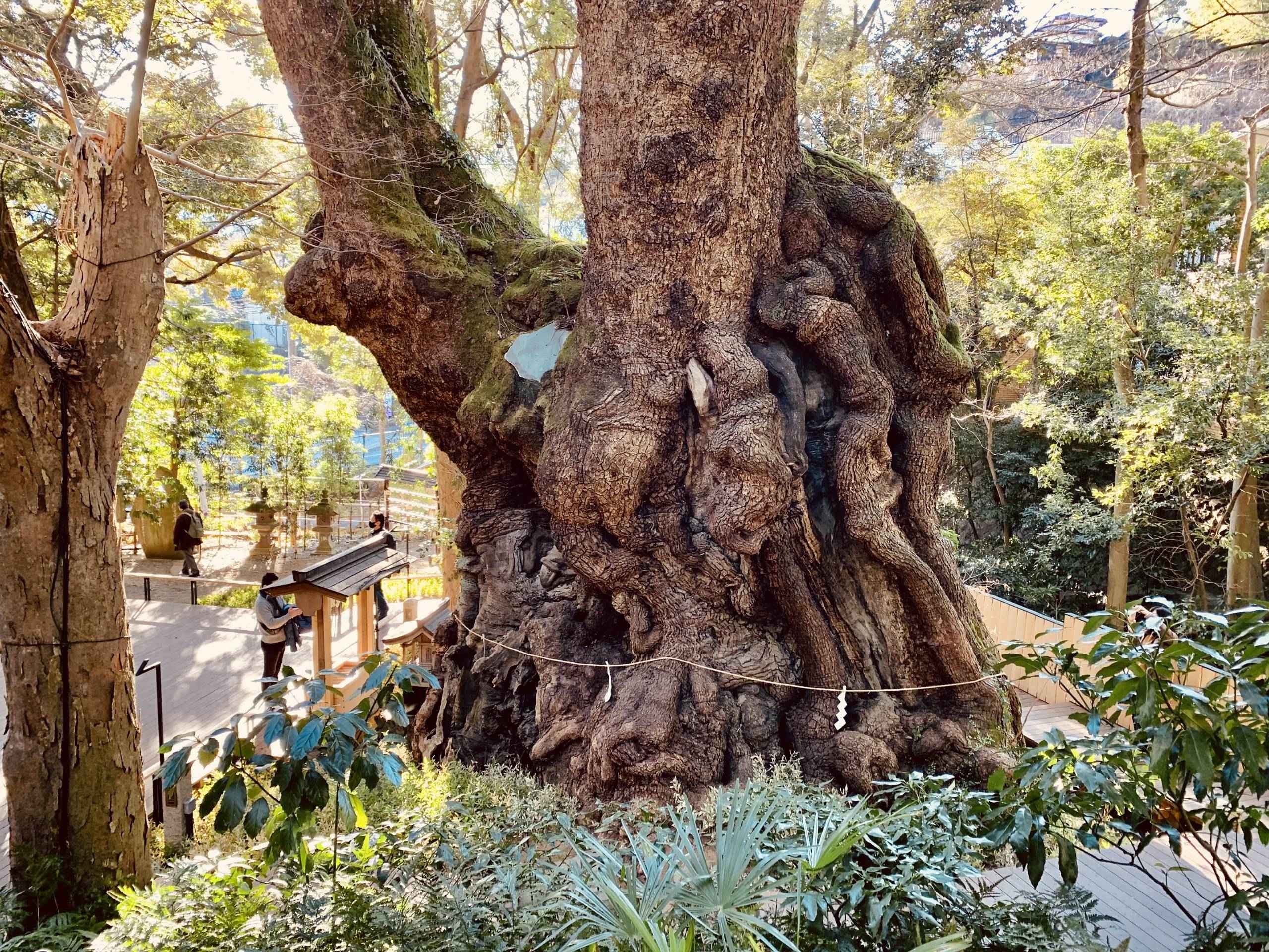 ⛩️ 니이야마 신사 (니이야마 진자) 이미지 5